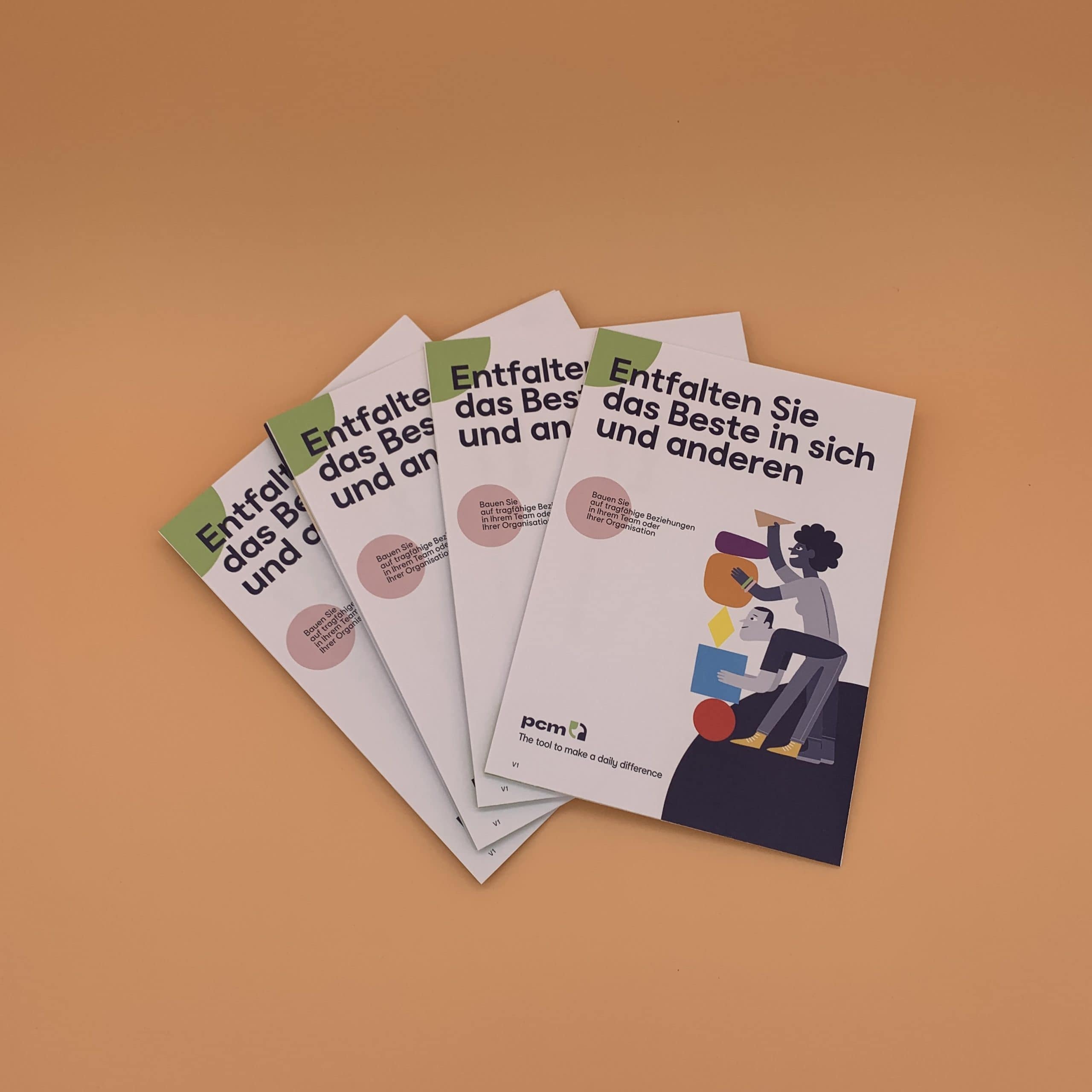 PCM Poster Brochure (Pack of 25) – Image 2